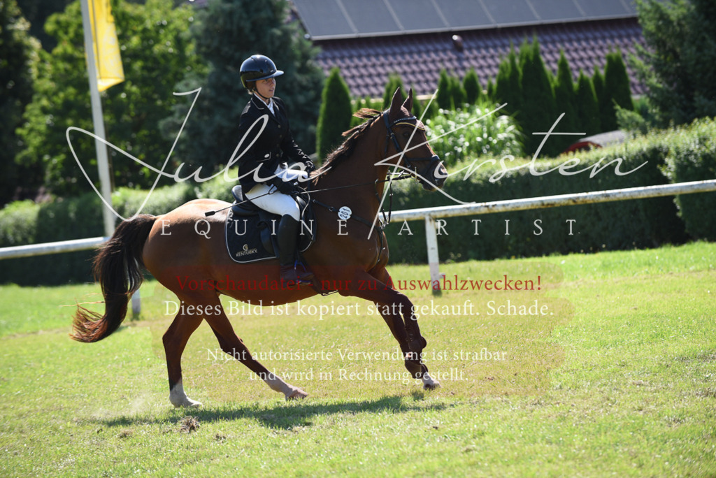 DSC_9436 | Pferde- und Turnierfotografie in Westsachsen. Pferdeportraits, Auftragszeichnungen und intuitive Kunst.