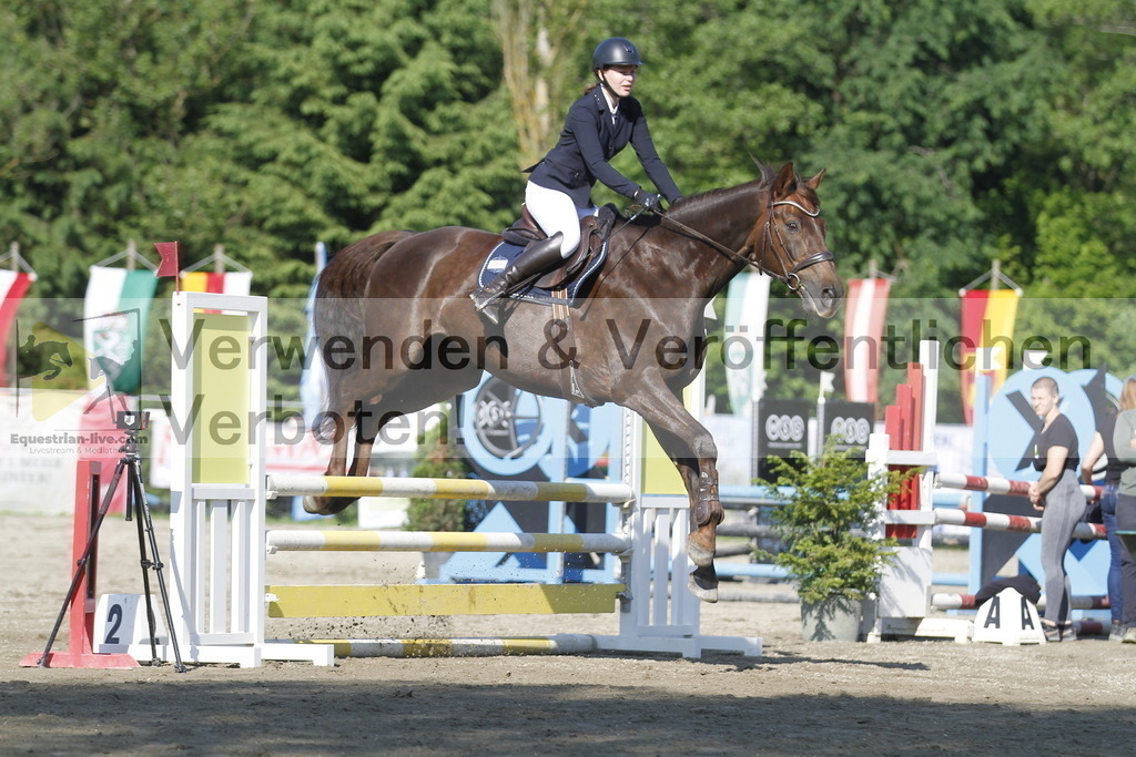 _MG_7955 | equestrian-live-com