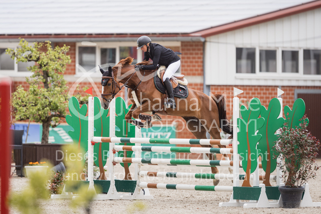 230516_Mühlen_04SprPf-L-414 | Deine schönsten Turniermomente als professionelle Fotos! Entdecke hochwertige Pferdesport-Fotografie im Online-Shop. Jetzt Fotos finden & bestellen!