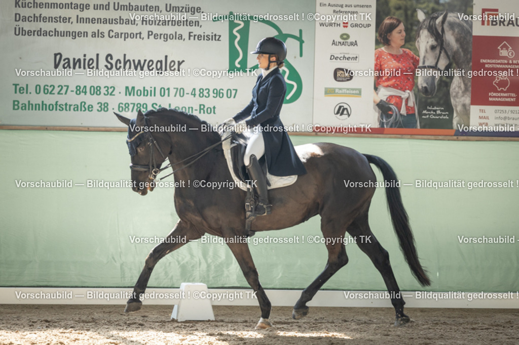 _D5A1681 | Emotionale Pferde- & People-Fotografie rund um Heidelberg, Leimen & Umgebung. Natürliche Fotos von Pferd, Mensch & Familie. Jetzt Termin sichern!
