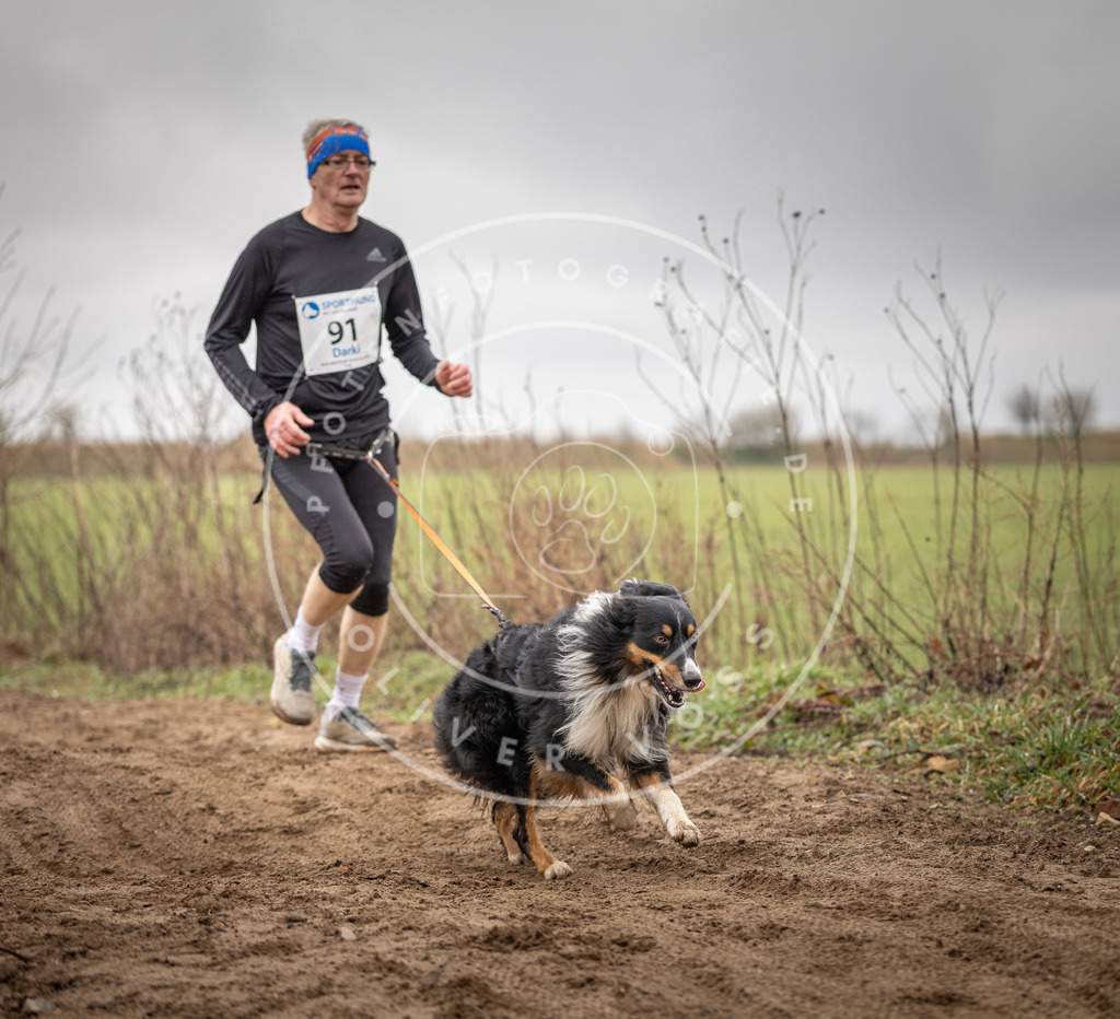 DV3A9997 | Hundefotografie, Tierfotograf, Pfotenfotografie, Fotoshooting Hund, Hunde Portrait, Hundesport, Hundeportraits, Heideshooting, Hunde, Sportfotograf, Hundefotograf, Turnierhundsport, THS,  - Realisiert mit Pictrs.com