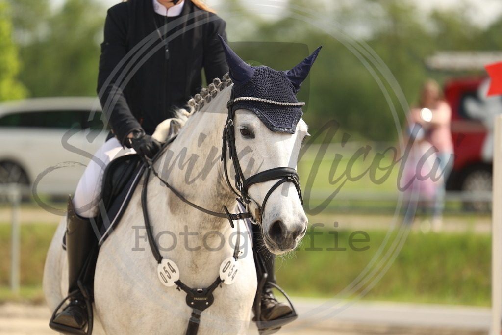 994A7716 | sabrinanicolaifotografie - Realisiert mit Pictrs.com