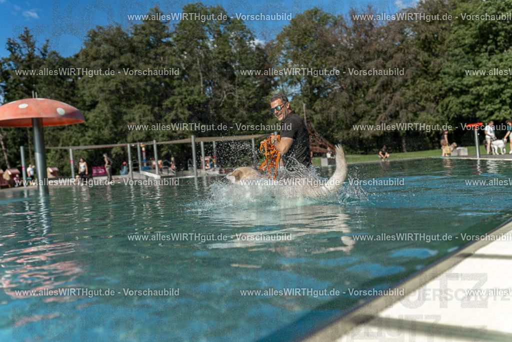 Hundeschwimmen_Volksbad_2026-allesWIRTHgut_Tierfotografie-2609061545-7R501808 | Professionelle Tierfotografie in Mönchengladbach von Daniel Wirth (allesWIRTHgut). Liebevolle & natürliche Bilder von Hunden & Katzen für unvergessliche Erinnerungen.