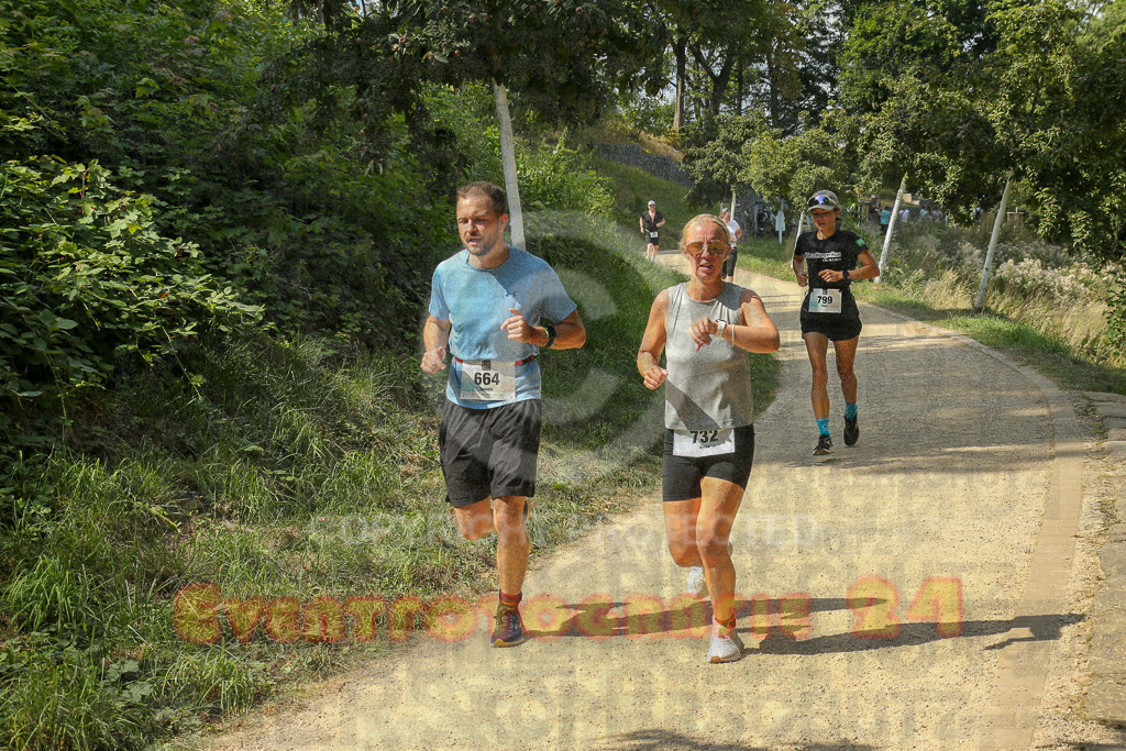 250824_1454_EX1_7991 | Sportfotografie im Rhein-Sieg Kreis, Köln, Bonn, NRW, Rheinland Pfalz, Hessen, etc. Unser Tätigkeitsfeld umfasst den Laufsport vom Volkslauf über den Marathon, Duathlon, Triathon bis zum Ultralauf wie Kölnpfad Ultra oder Schindertrail.