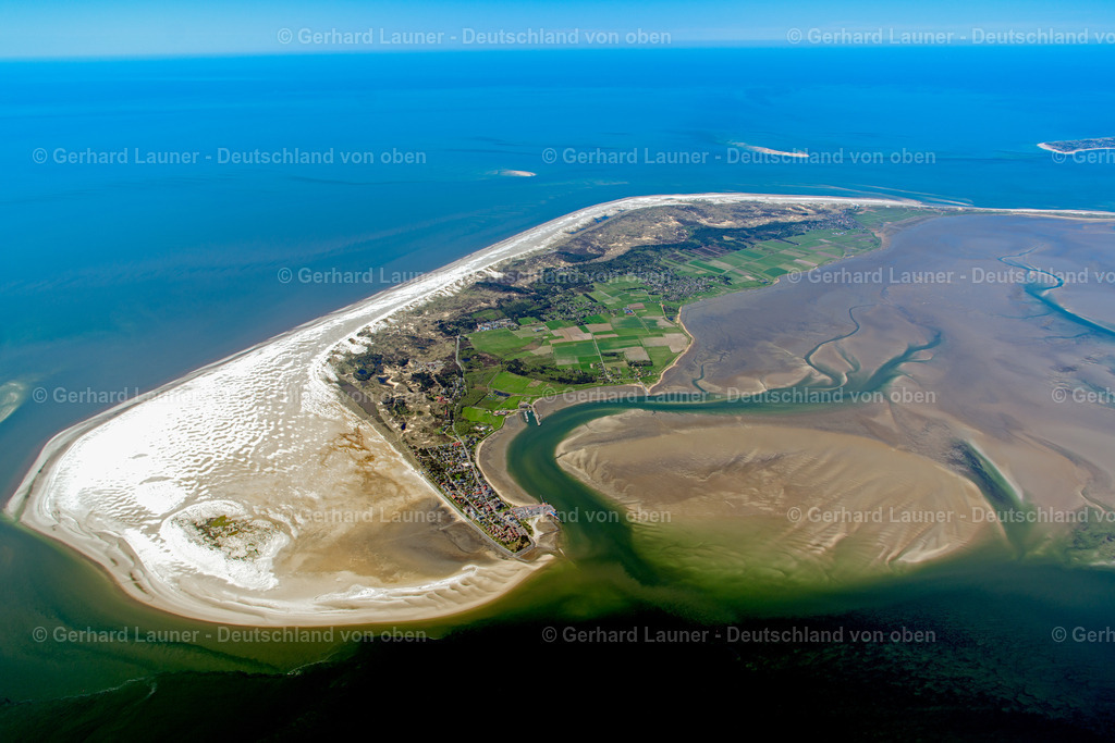 3801698 | Amrum, Nationalpark Schleswig-Holsteinisches Wattenmeer