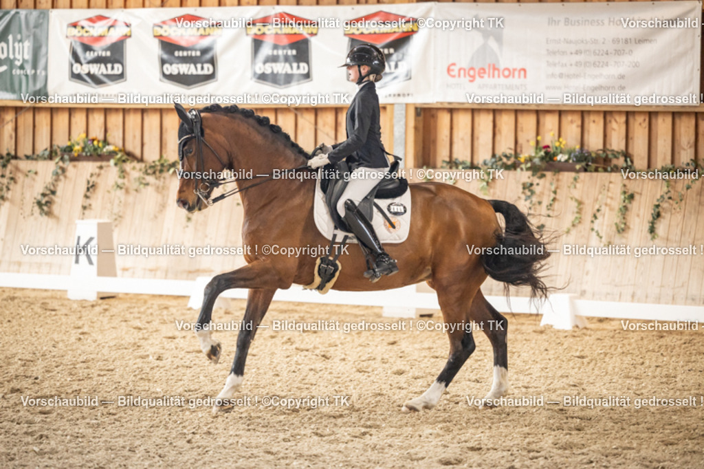 _D5A9019 | Emotionale Pferde- & People-Fotografie rund um Heidelberg, Leimen & Umgebung. Natürliche Fotos von Pferd, Mensch & Familie. Jetzt Termin sichern!