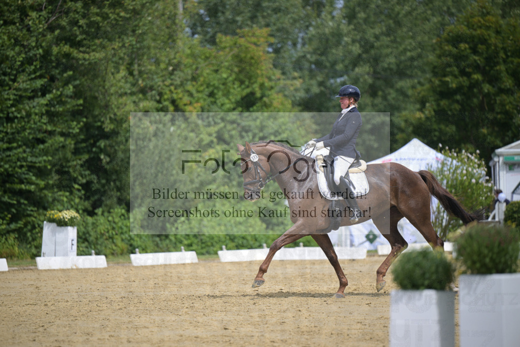 DOS_0033 | Entdecke hochwertige Reitturnierfotos von Foto Oger. Professionell, emotional und authentisch – jetzt Lieblingsmomente im Shop bestellen.Deutschlandweite Turnierfotografie. - Realisiert mit Pictrs.com