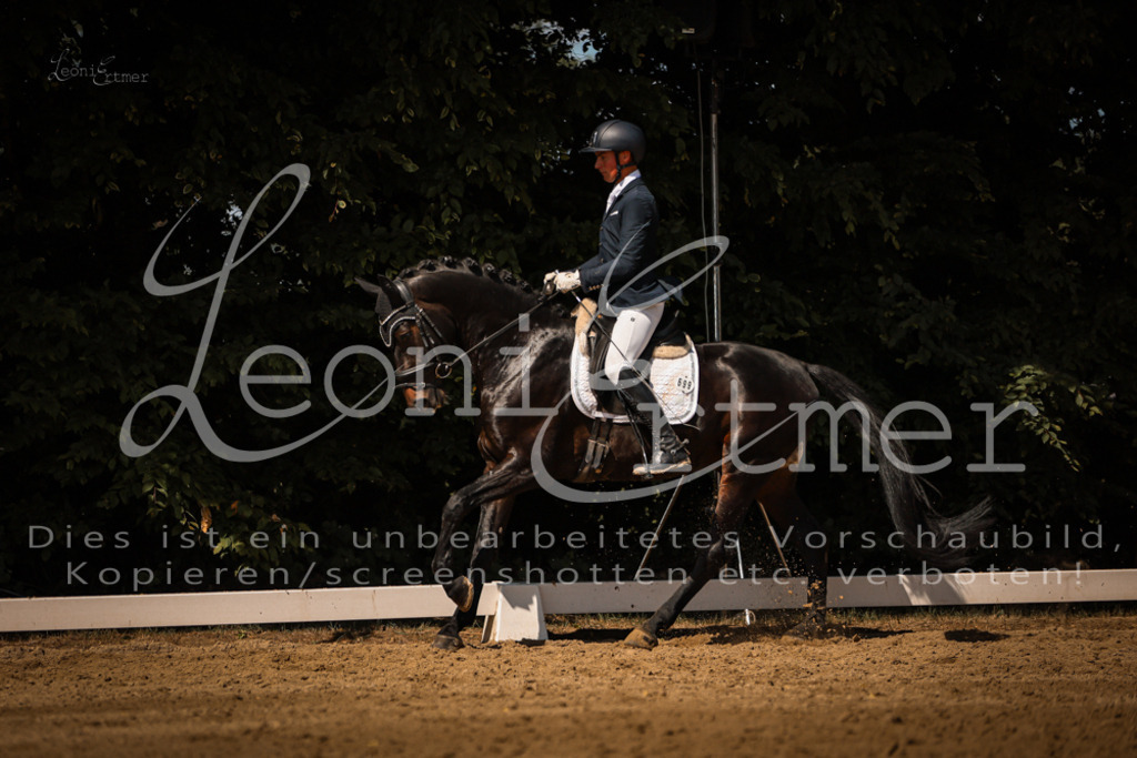 07.FrDrPA00443 | Leoni Ertmer Photography - Realisiert mit Pictrs.com