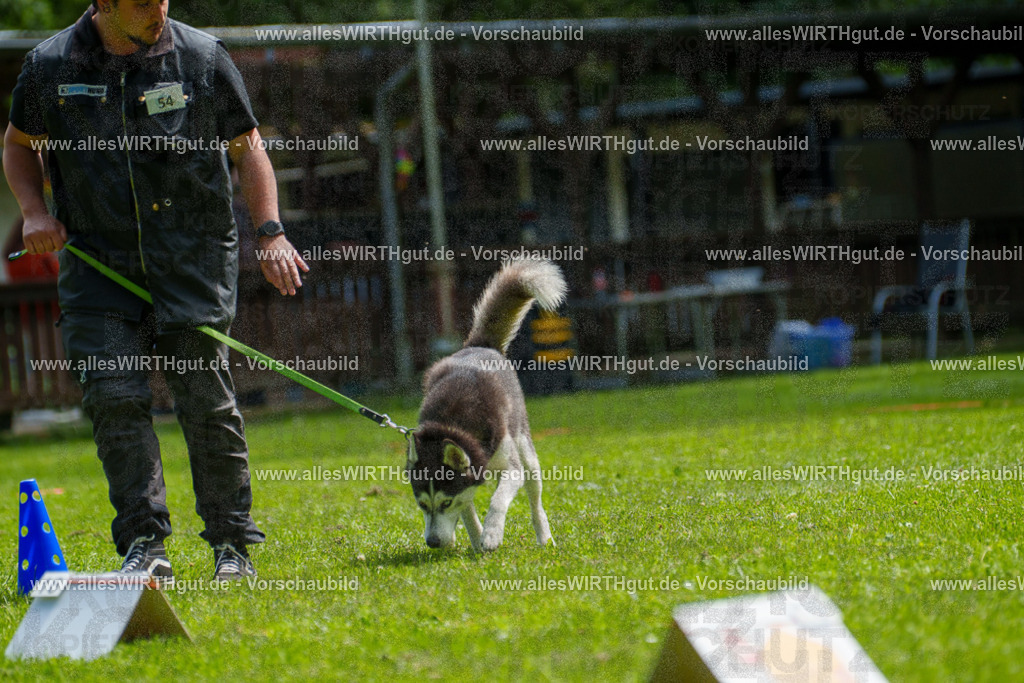 @allesWIRTHgut_Tierfotografie - www.allesWIRTHgut.de - 7R500945 | Professionelle Tierfotografie in Mönchengladbach von Daniel Wirth (allesWIRTHgut). Liebevolle & natürliche Bilder von Hunden & Katzen für unvergessliche Erinnerungen.