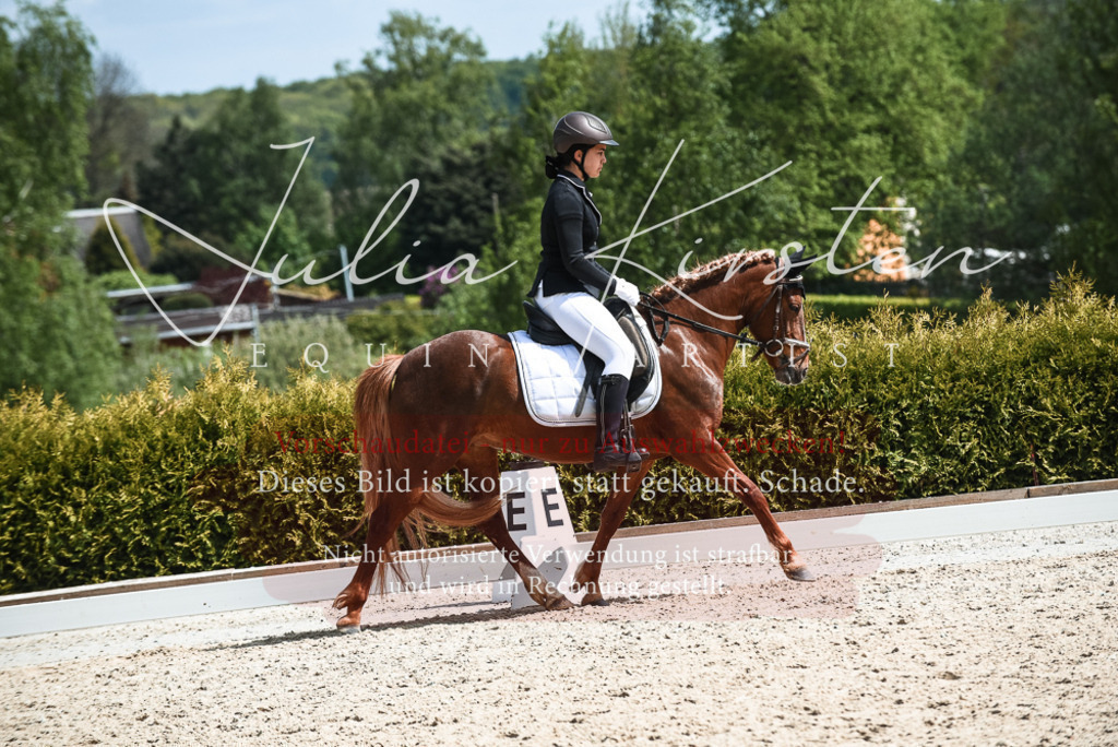 20230518_JK-Röhrsdorf-11-0677 | Pferde- und Turnierfotografie in Westsachsen. Pferdeportraits, Auftragszeichnungen und intuitive Kunst.