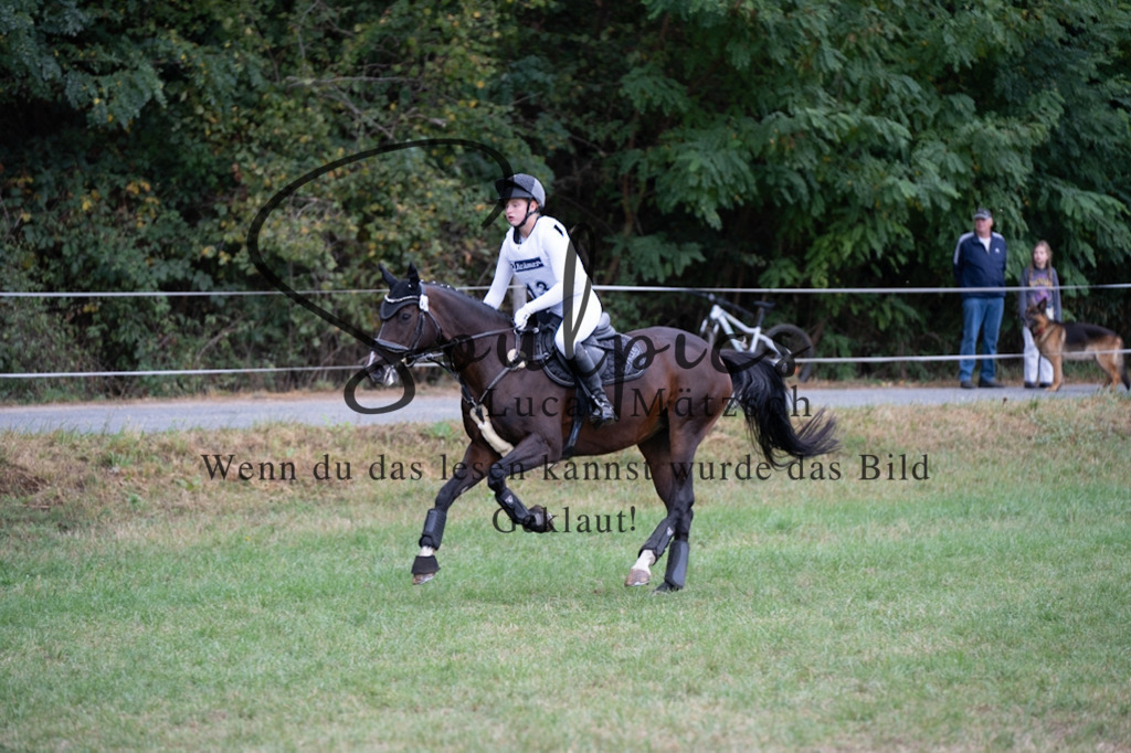 A7V00625 | Pferdefotograf