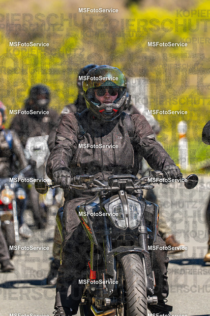 MSFotoServiceXXX204 | MSFotoService - Realisiert mit Pictrs.com