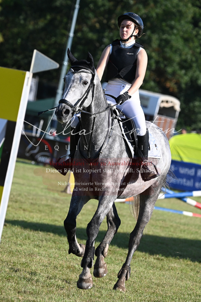 DSC_4868 | Pferde- und Turnierfotografie in Westsachsen. Pferdeportraits, Auftragszeichnungen und intuitive Kunst.