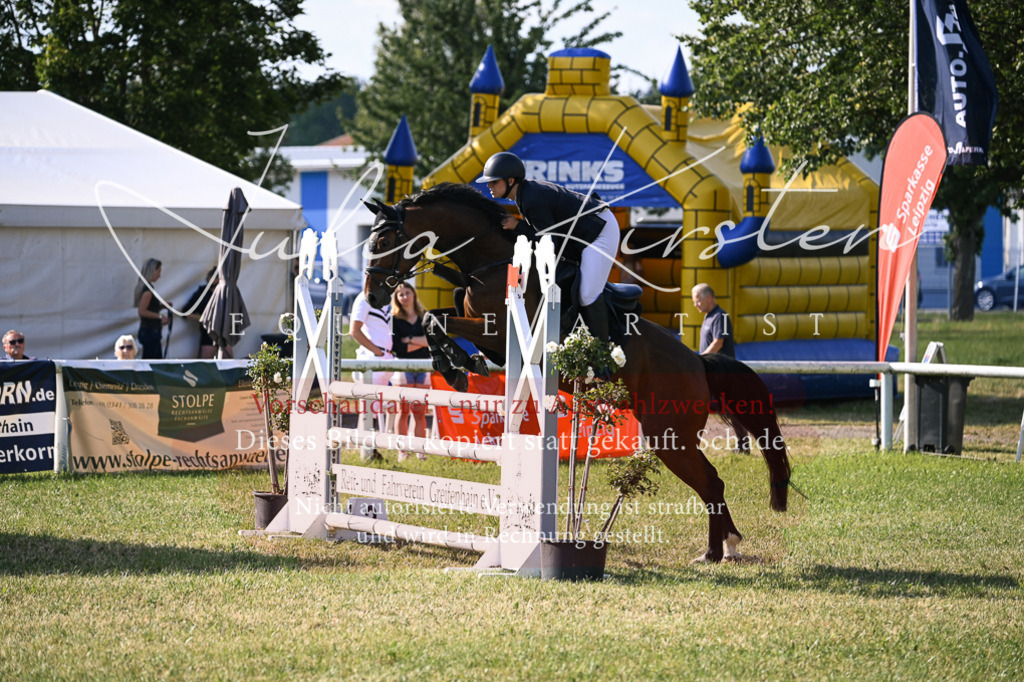 DSC_1448 | Pferde- und Turnierfotografie in Westsachsen. Pferdeportraits, Auftragszeichnungen und intuitive Kunst.
