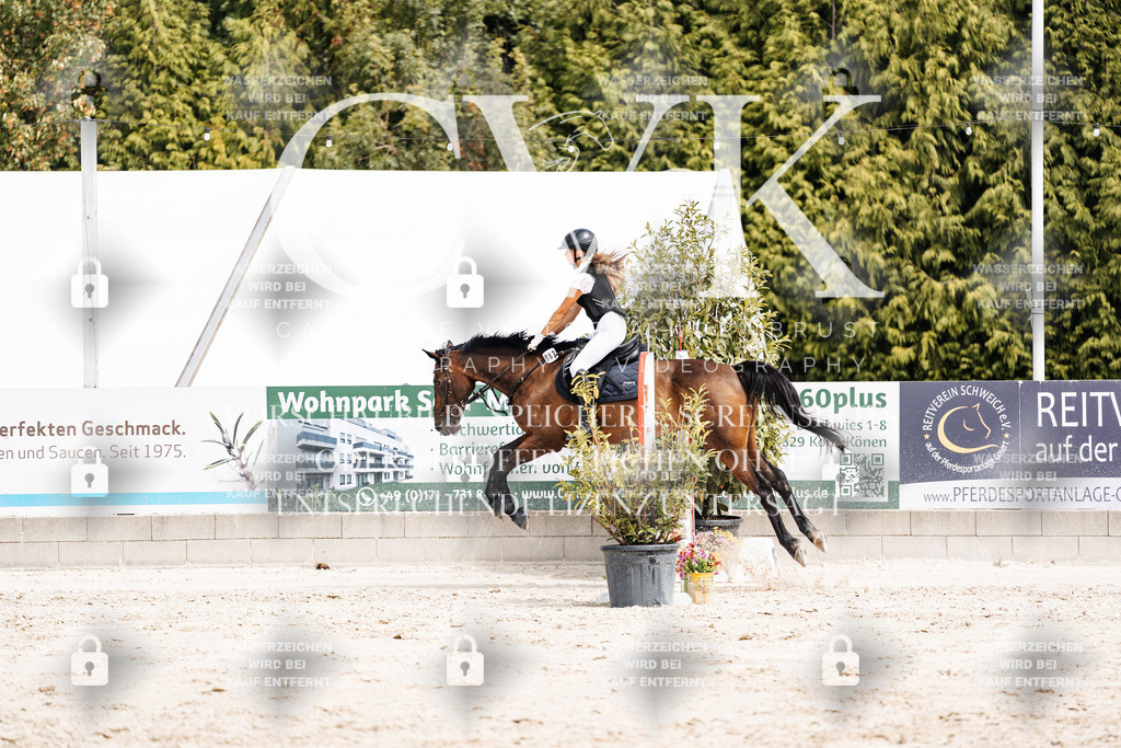 CK906732 | Turnierfotografie Pferdefotografie Trier Rheinland-Pfalz Pferdesport Reitsport Tierfotografie Sportfotografie Pferdevideo Pferdevideografie Equestrianvideography equestrianphotography  - Realisiert mit Pictrs.com