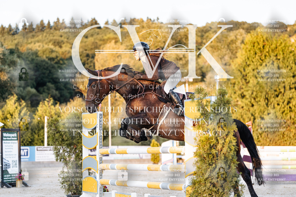 CK901218 | Turnierfotografie Pferdefotografie Trier Rheinland-Pfalz Pferdesport Reitsport Tierfotografie Sportfotografie Pferdevideo Pferdevideografie Equestrianvideography equestrianphotography  - Realisiert mit Pictrs.com