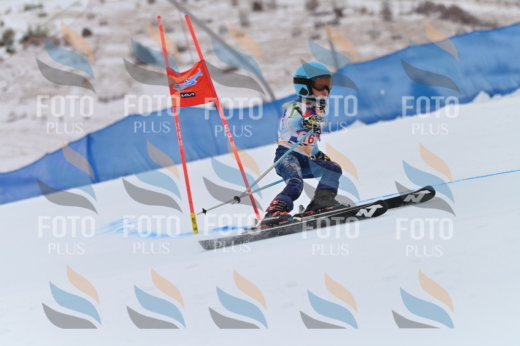 BGV_0442 | holidayphoto