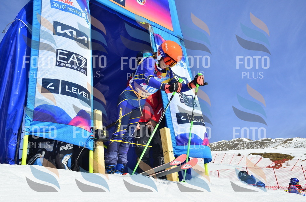 _ELE0612 | holidayphoto