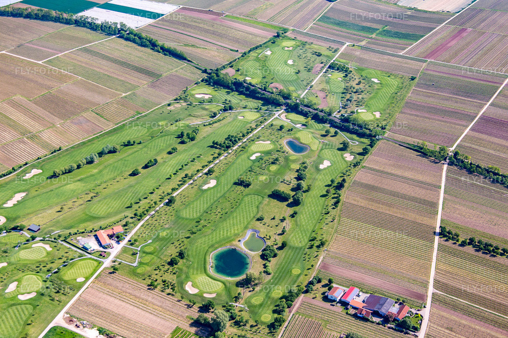 Luftbild: Dackenheim, Golfplatz in Dackenheim im Bundesland Rheinland-Pfalz in Deutschland. Foto: IMG_078740.jpg vom 13.05.2015 durch Werner Riehm/FLY-FOTO.de