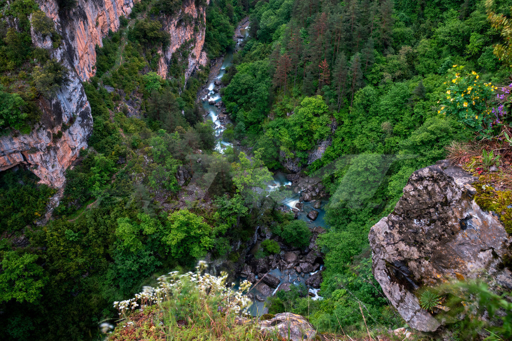 Verwunschene Schlucht in den Pyrenäen | Diese eindrucksvolle Aufnahme zeigt eine tief eingeschnittene Schlucht in den Bergketten der Pyrenäen. Ein türkisfarbener Gebirgsfluss windet sich durch steile Felswände und dichte, sattgrüne Wälder. Die unberührte Natur und die wilde Landschaft machen die Pyrenäen zu einem einzigartigen Naturparadies für Wanderer, Naturliebhaber und Abenteurer. - Realisiert mit Pictrs.com