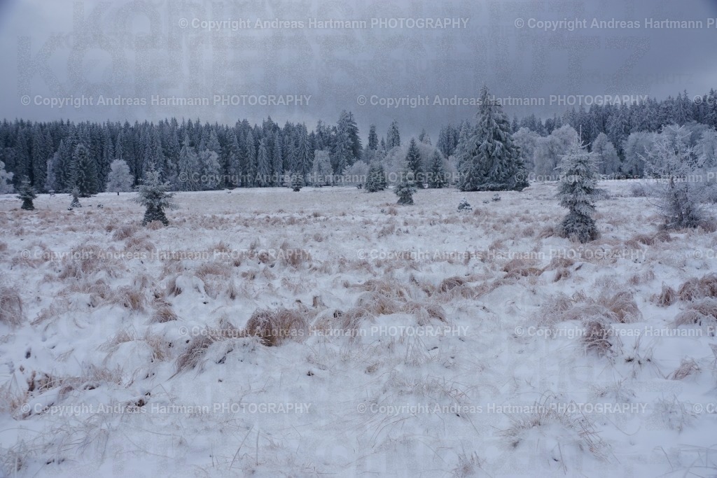 Winterlandschaft in Kladska | Winterlandschaft in Kladska - Realisiert mit Pictrs.com