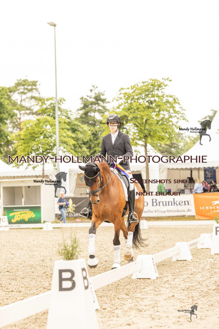 SW 4-1211 | mandyhollmannphotographie