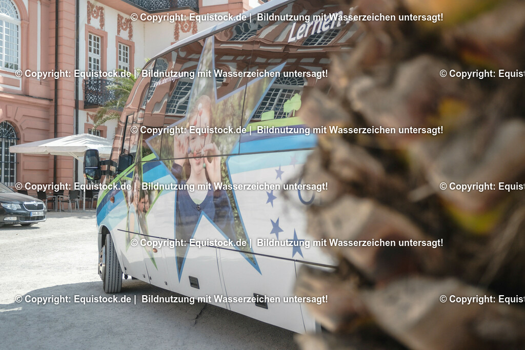 ZFC_3960 | equistock