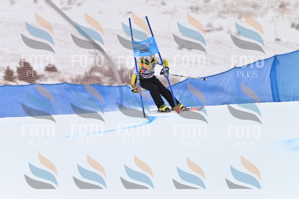 BGV_3018 | holidayphoto