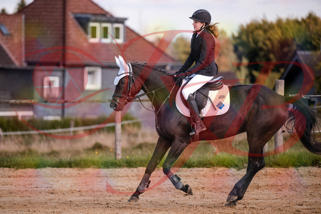 2026_10_03_Siefer-Hof_145929_Z81_41756252 | Professionelle Reitsport-, Turnier- und Eventfotografie von Robert Broda. Galerien mit ausgewählten und bearbeiteten Bildern direkt online ansehen und bestellen.