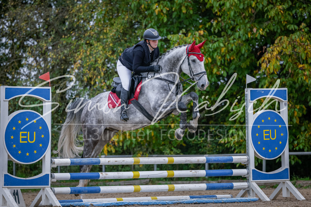 20251012-_3LI3668 | Tierfotografie Pferde, Hunde, Katzen, Haustiere.
Turnierfotografie Reitturniere, Reiten, Springreiten, Dressur in Hanau, dem Main-Kinzig-Kreis und dem Rhein-Main- Gebiet um Frankfurt