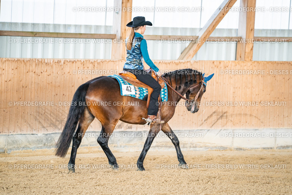 DSC08510 | Pferdegrafie