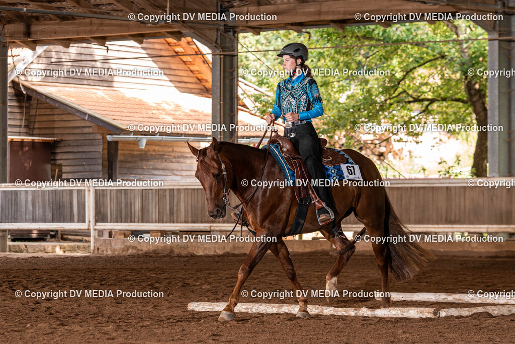 Erbach Tag 2-222 | dv-media-shop - Realisiert mit Pictrs.com