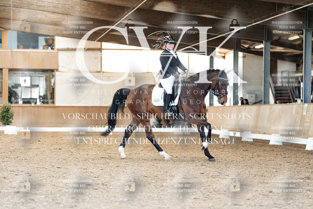 CK909418 | Turnierfotografie Pferdefotografie Trier Rheinland-Pfalz Pferdesport Reitsport Tierfotografie Sportfotografie Pferdevideo Pferdevideografie Equestrianvideography equestrianphotography  - Realisiert mit Pictrs.com