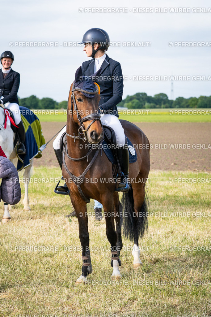 DSC03075 | Pferdegrafie