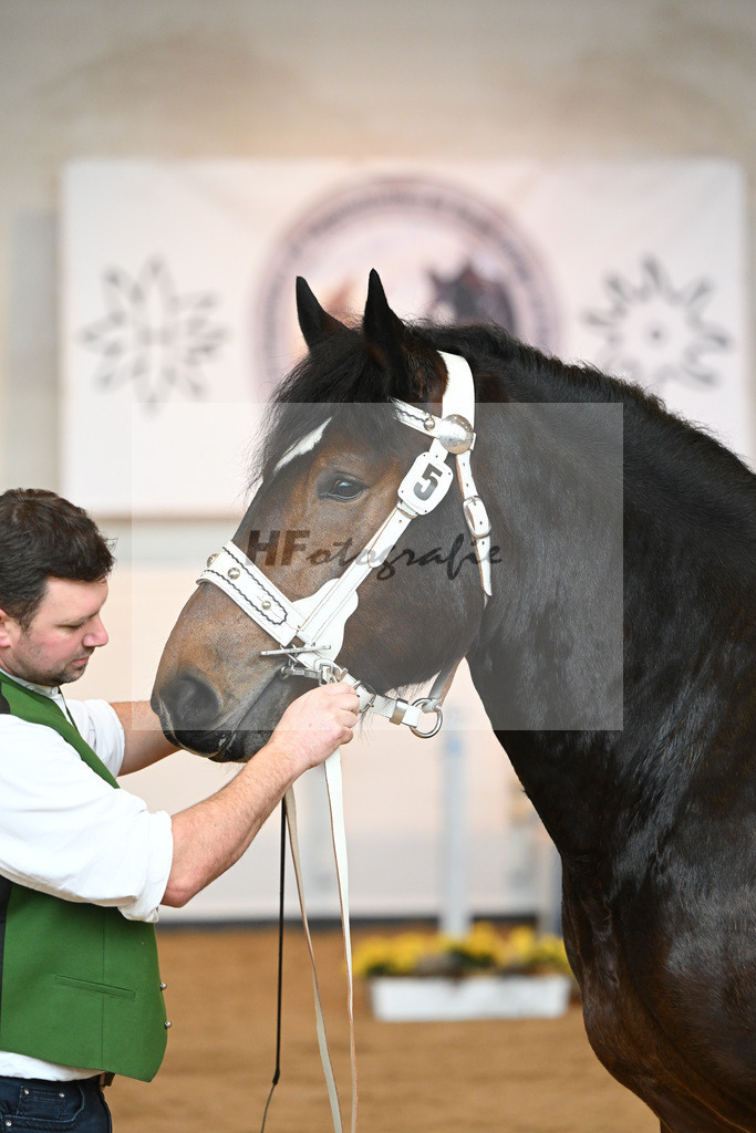 Kat-Nr. 5 v. Rauris_Gierlinger_2230038 | hf-fotografie - Realizzato con Pictrs.com