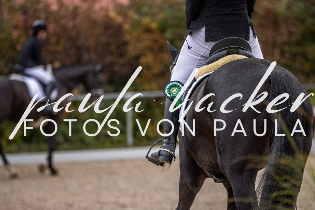 IMG_2685 | Erleben Sie dynamische Sport- und emotionale Tierfotografie in Süddeutschland mit Fotos von Paula. Spezialisiert auf Pferde- und Hundefotografie sowie Sportevents. Kontaktieren Sie mich für einzigartige und ausdrucksstarke Bilder Ihrer besonderen Momente.