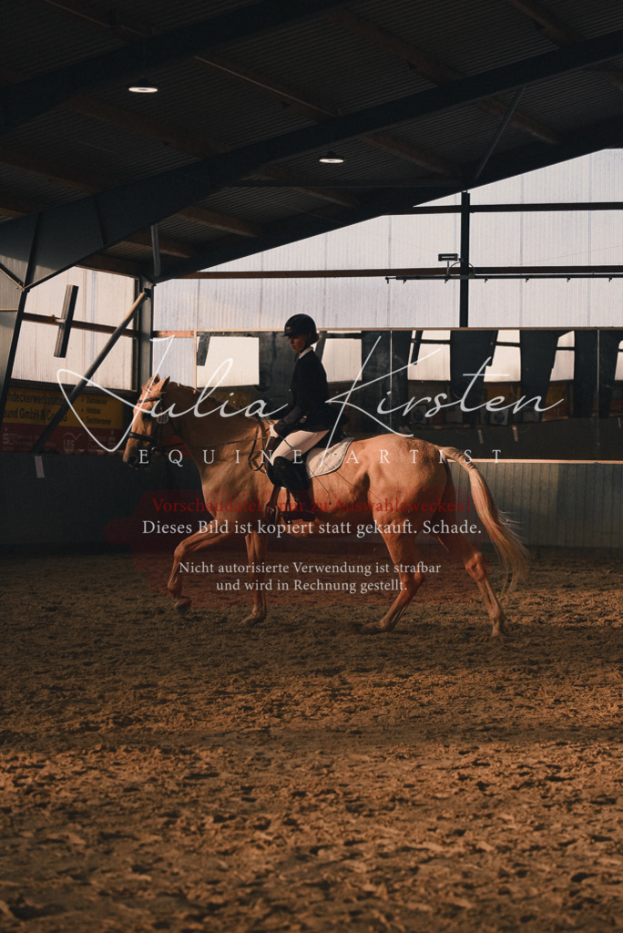 DSC_7673 | Pferde- und Turnierfotografie in Westsachsen. Pferdeportraits, Auftragszeichnungen und intuitive Kunst.