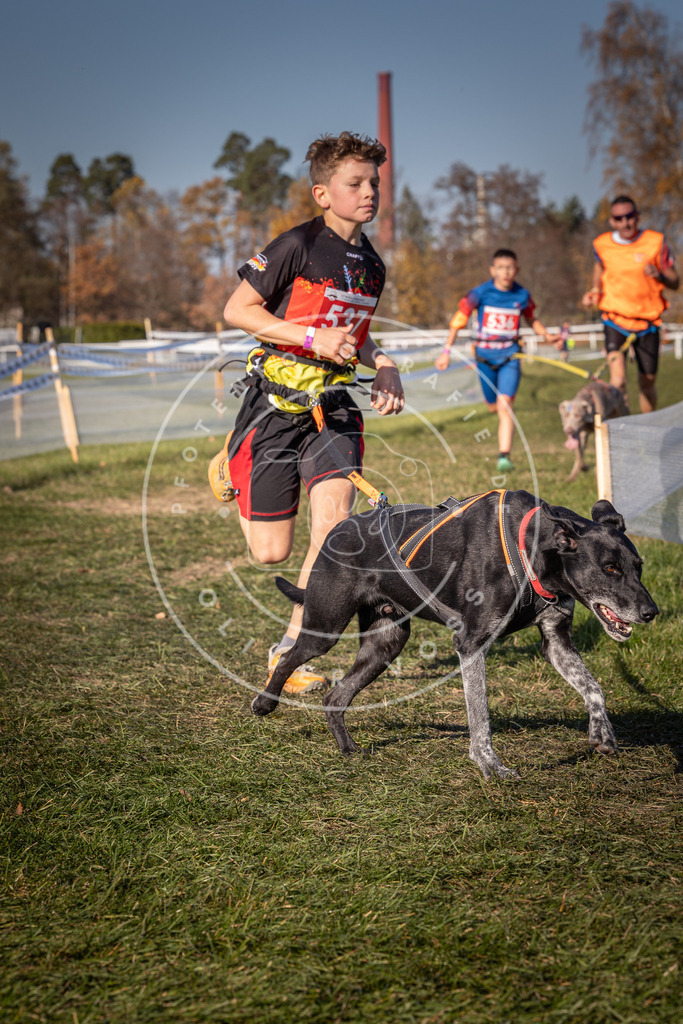 CaniXpix_0L8A7468 | Hundefotografie, Tierfotograf, Pfotenfotografie, Fotoshooting Hund, Hunde Portrait, Hundesport, Hundeportraits, Heideshooting, Hunde, Sportfotograf, Hundefotograf, Turnierhundsport, THS,  - Realisiert mit Pictrs.com