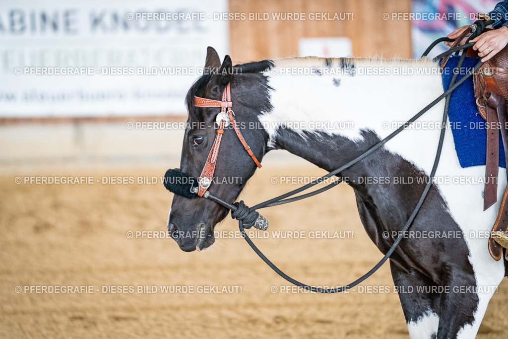 DSC07963 | Pferdegrafie