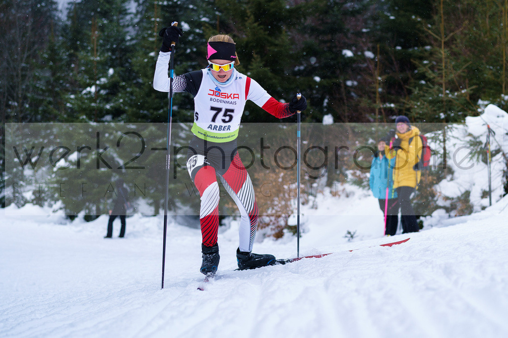 DSC Arber | Bayerischer Wald am 9. bis 12. Februar 2023
