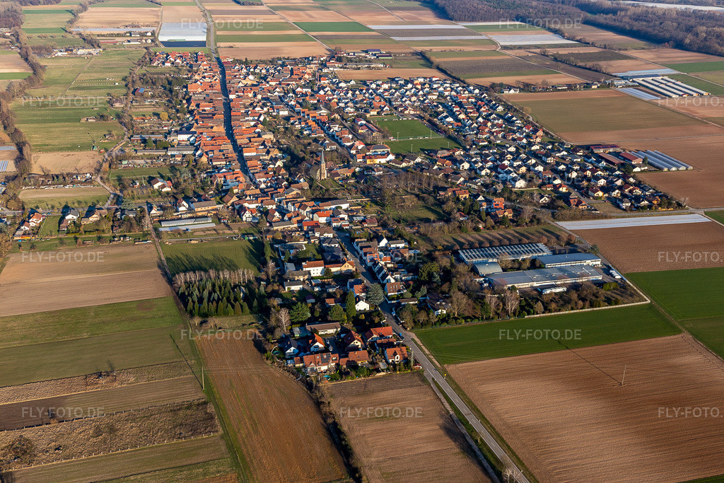 Luftbild: Ortsansicht am Rande von landwirtschaftlichen Feldern und Nutzflächen in Gommersheim im Bundesland Rheinland-Pfalz in Deutschland. Foto: IMG_126063.jpg vom 07.03.2021 durch Werner Riehm/FLY-FOTO.de