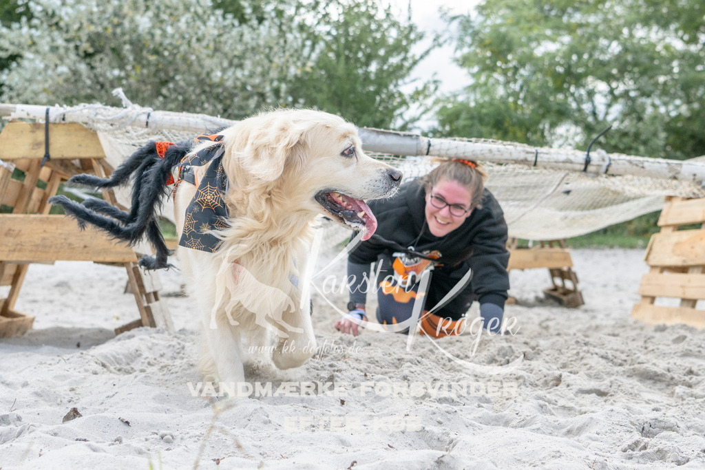 1226_ZZ91493 | kk-dogfotos