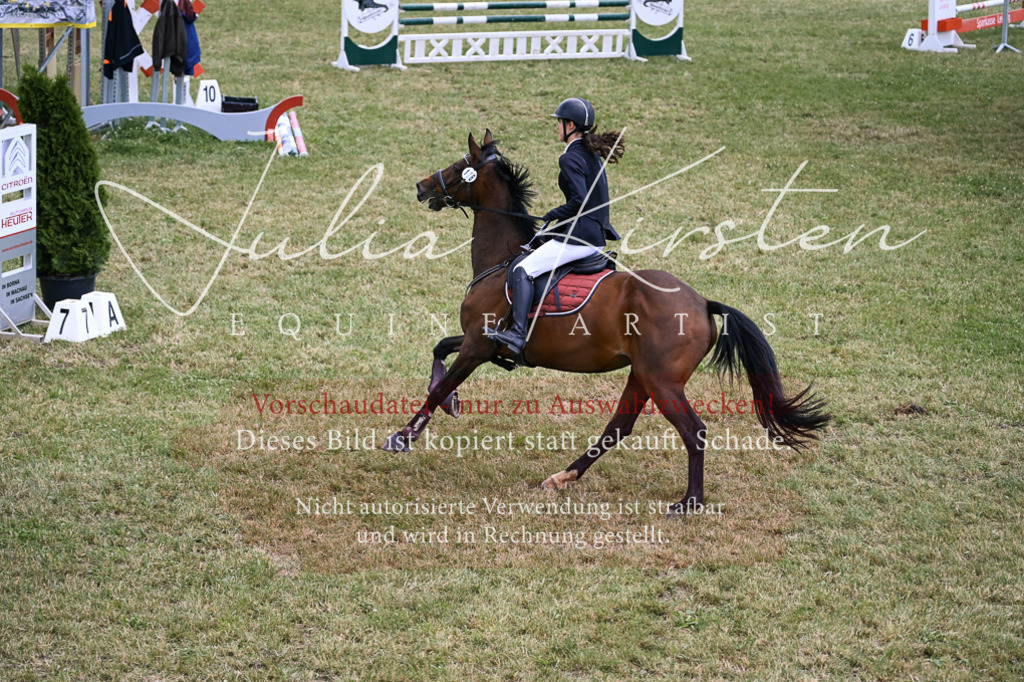 DSC_9426 | Pferde- und Turnierfotografie in Westsachsen. Pferdeportraits, Auftragszeichnungen und intuitive Kunst.