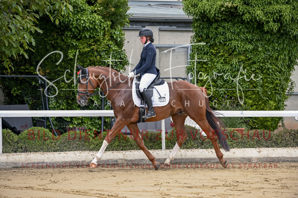 Schugtsche-Aluta25-48.Reitpferfdeprf.-134 | Schugtsche Fotografie - Realisiert mit Pictrs.com