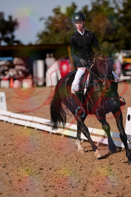 2026_10_03_Siefer-Hof_115803_Z81_99902132 | Professionelle Reitsport-, Turnier- und Eventfotografie von Robert Broda. Galerien mit ausgewählten und bearbeiteten Bildern direkt online ansehen und bestellen.