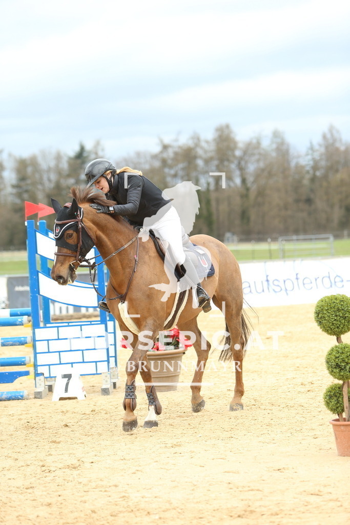 DL2Q2065 | Willkommen bei Brunnmayr - Design & Fotografie – Ihrem Spezialisten für Reitturniere und Pferdeveranstaltungen in Oberösterreich, Salzburg und Bayern! Seit über 17 Jahren sind wir leidenschaftlich dabei.