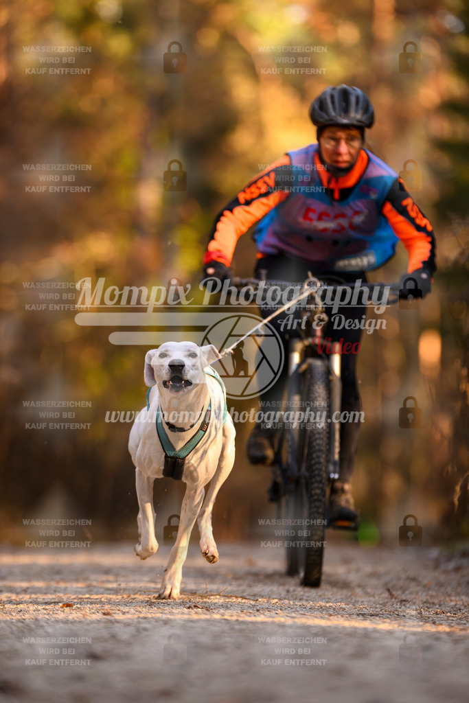MompixPhotography_DM_AKDM_SO_2025_Bike-147 | PayLife