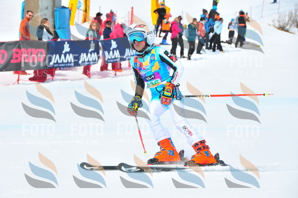 DSC_1705 | holidayphoto