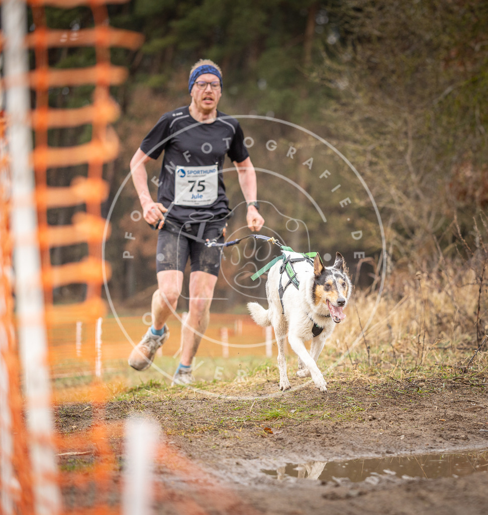 DV3A0261 | Hundefotografie, Tierfotograf, Pfotenfotografie, Fotoshooting Hund, Hunde Portrait, Hundesport, Hundeportraits, Heideshooting, Hunde, Sportfotograf, Hundefotograf, Turnierhundsport, THS,  - Realisiert mit Pictrs.com