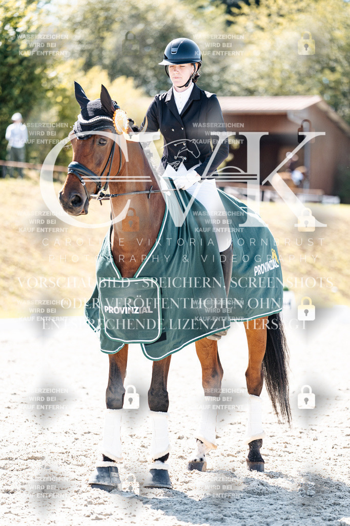 CK904236 | Turnierfotografie Pferdefotografie Trier Rheinland-Pfalz Pferdesport Reitsport Tierfotografie Sportfotografie Pferdevideo Pferdevideografie Equestrianvideography equestrianphotography  - Realisiert mit Pictrs.com